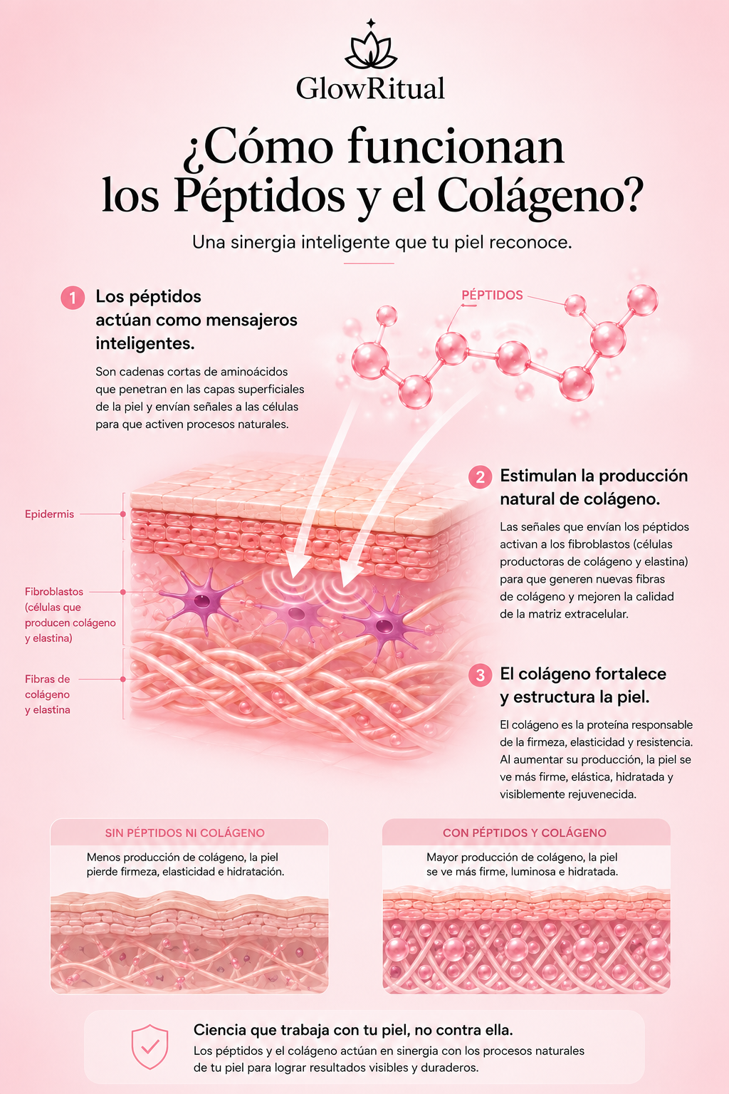 Parches de Hidrogel con Colágeno y Péptidos